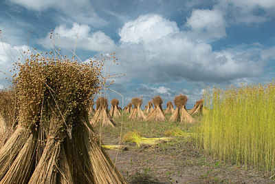 BUITEN BEELD Foto: 235650