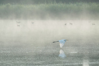 BUITEN BEELD Foto: 235699