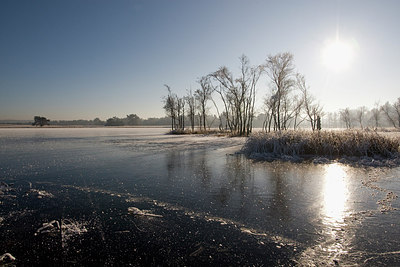 BUITEN BEELD Foto: 235715