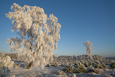 BUITEN BEELD Foto: 235724