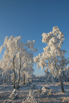 BUITEN BEELD Foto: 235725