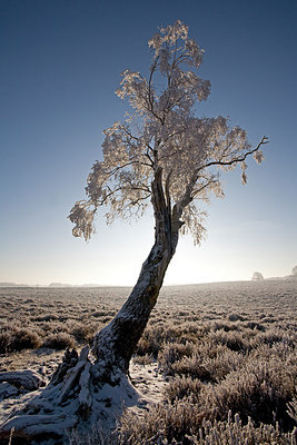 BUITEN BEELD Foto: 235728