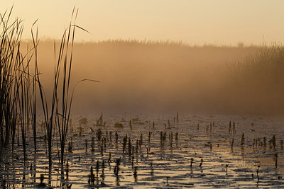 BUITEN BEELD Foto: 235745