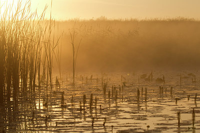 BUITEN BEELD Foto: 235747