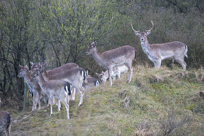BUITEN BEELD Foto: 235798
