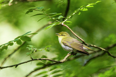 BUITEN BEELD Foto: 235853
