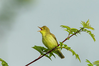 BUITEN BEELD Foto: 235859