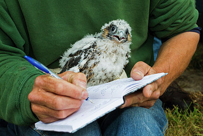 BUITEN BEELD Foto: 235863
