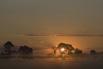BUITEN BEELD Foto: 235926