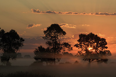 BUITEN BEELD Foto: 235928