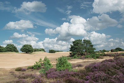 BUITEN BEELD Foto: 235944