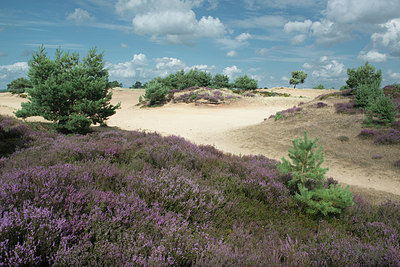 BUITEN BEELD Foto: 235946