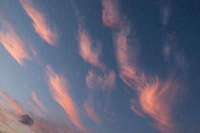 BUITEN BEELD Foto: 235950