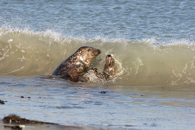 BUITEN BEELD Foto: 235982