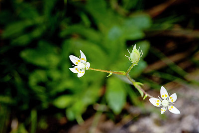 BUITEN BEELD Foto: 236002