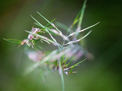 BUITEN BEELD Foto: 236004