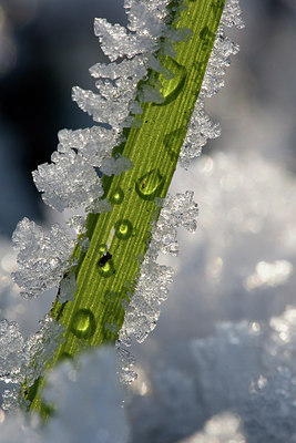 BUITEN BEELD Foto: 236017