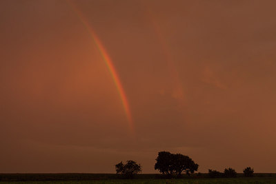 BUITEN BEELD Foto: 236019