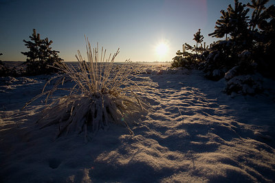 BUITEN BEELD Foto: 236031