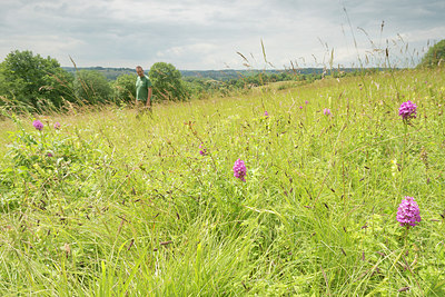 BUITEN BEELD Foto: 236040