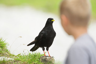BUITEN BEELD Foto: 236054