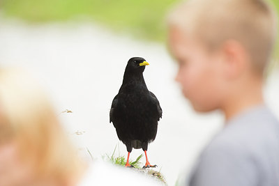 BUITEN BEELD Foto: 236055