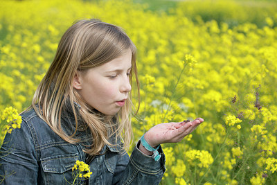 BUITEN BEELD Foto: 236070