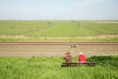 BUITEN BEELD Foto: 236073