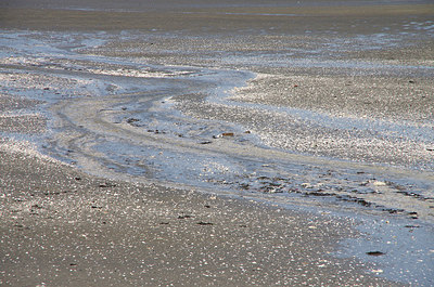 BUITEN BEELD Foto: 236131