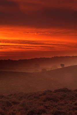 BUITEN BEELD Foto: 236136