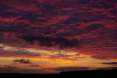 BUITEN BEELD Foto: 236154