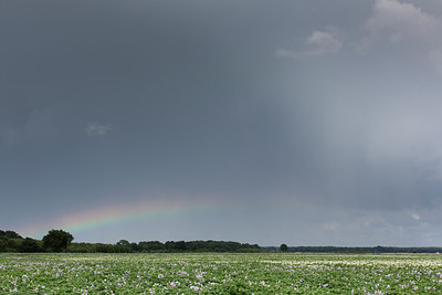 BUITEN BEELD Foto: 236188