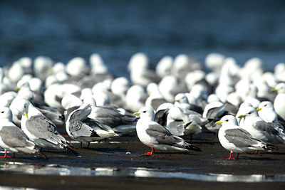 BUITEN BEELD Foto: 236213