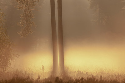 BUITEN BEELD Foto: 236380