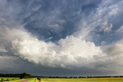 BUITEN BEELD Foto: 236385