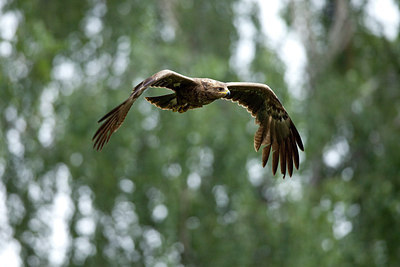 BUITEN BEELD Foto: 236396