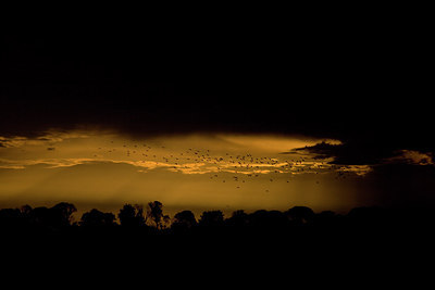 BUITEN BEELD Foto: 236429