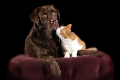 BUITEN BEELD Foto: 236431