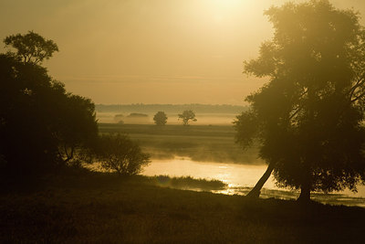 BUITEN BEELD Foto: 236439