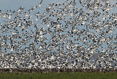 BUITEN BEELD Foto: 236462
