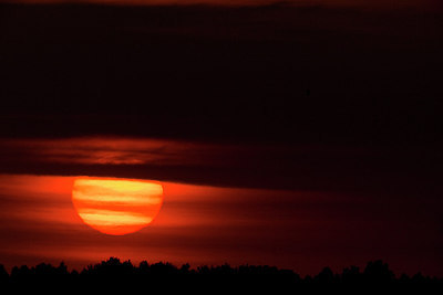 BUITEN BEELD Foto: 236480