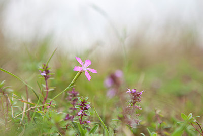 BUITEN BEELD Foto: 236551