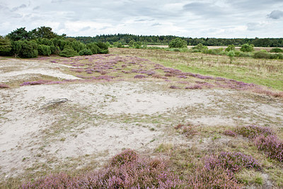 BUITEN BEELD Foto: 236558