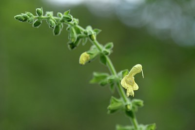BUITEN BEELD Foto: 236615