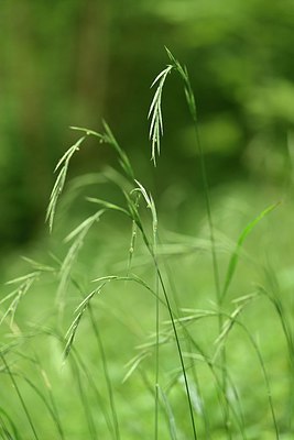 BUITEN BEELD Foto: 236623
