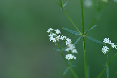 BUITEN BEELD Foto: 236642