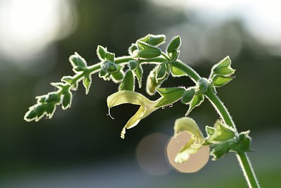 BUITEN BEELD Foto: 236645