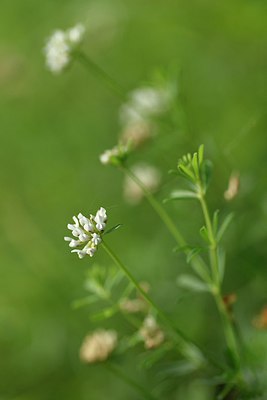 BUITEN BEELD Foto: 236651