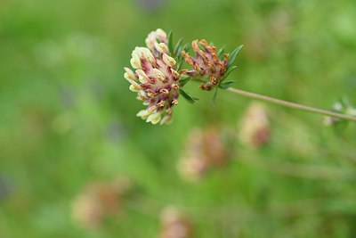 BUITEN BEELD Foto: 236669