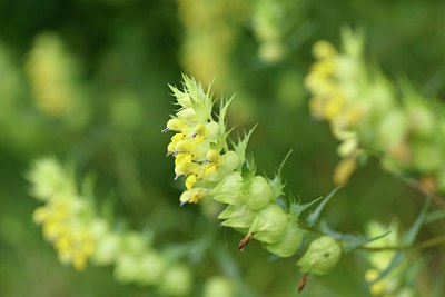 BUITEN BEELD Foto: 236671
